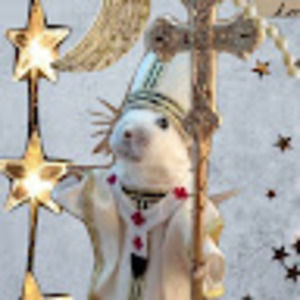 Meet your Posher, Delaney